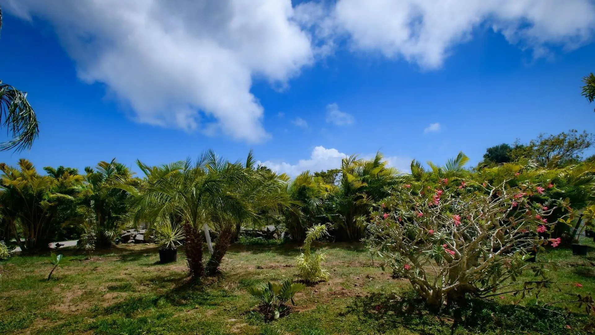 Club Vieques - Adults Only Resort - Lgbt Friendly Puerto Rico